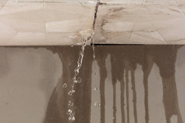 Professional Structural Drying technician working in Lee, NH